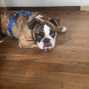 Meet your Posher, Lauri